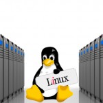 Linux vs. Windows Servers: Which is Right for Your Website?